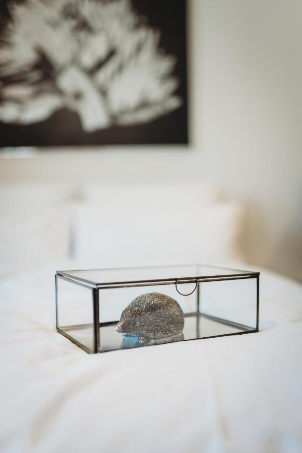 Romantic Jump Studio Overlooking River, Free Parking Laibach Exterior foto